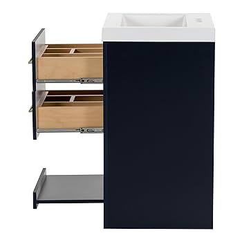 Spring Mill Cabinets Fisk 24 Inch Bathroom Vanity with White